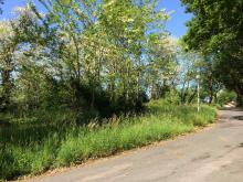 Bioluz - St Jean de Luz par Kimu