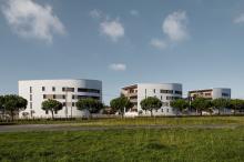 Mouettes Blanches - Anglet par Kimu