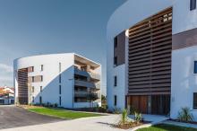 Mouettes Blanches - Anglet par Kimu